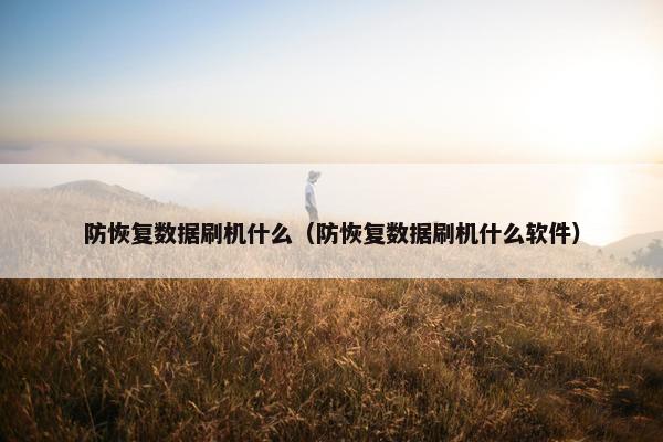 防恢复数据刷机什么（防恢复数据刷机什么软件）