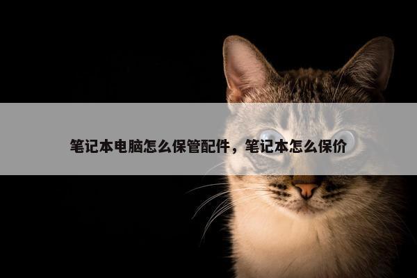 笔记本电脑怎么保管配件，笔记本怎么保价
