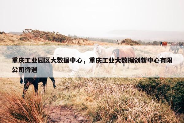 重庆工业园区大数据中心，重庆工业大数据创新中心有限公司待遇