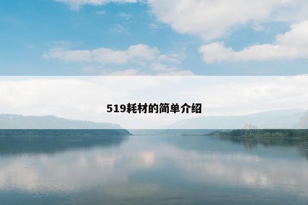 519耗材的简单介绍