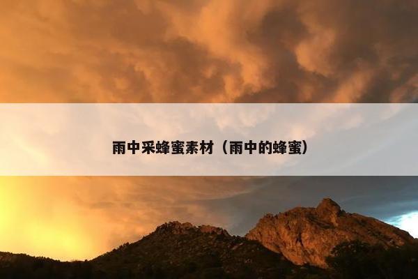 雨中采蜂蜜素材（雨中的蜂蜜）