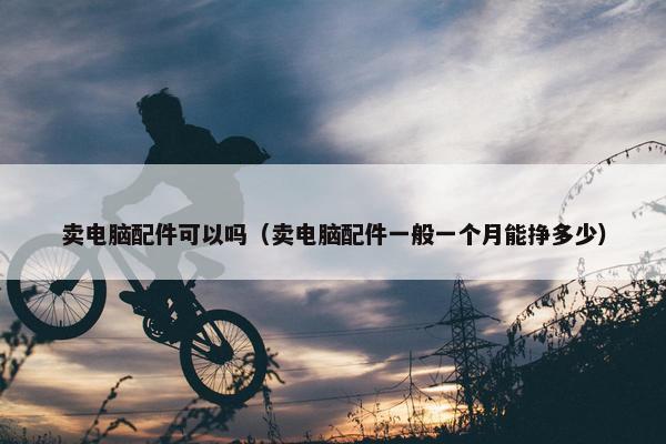 卖电脑配件可以吗（卖电脑配件一般一个月能挣多少）