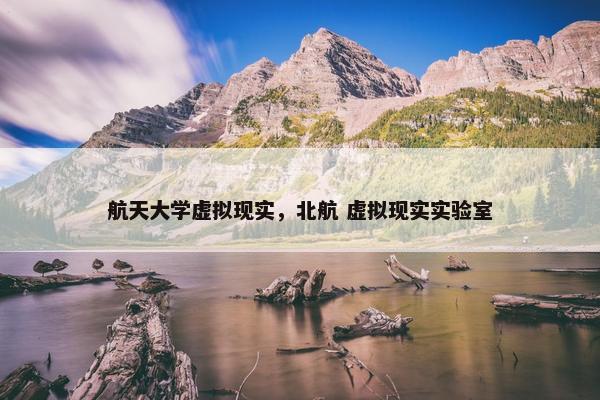 航天大学虚拟现实，北航 虚拟现实实验室