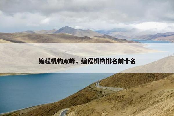 编程机构双峰，编程机构排名前十名