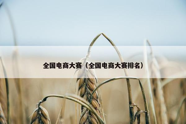 全国电商大赛（全国电商大赛排名）