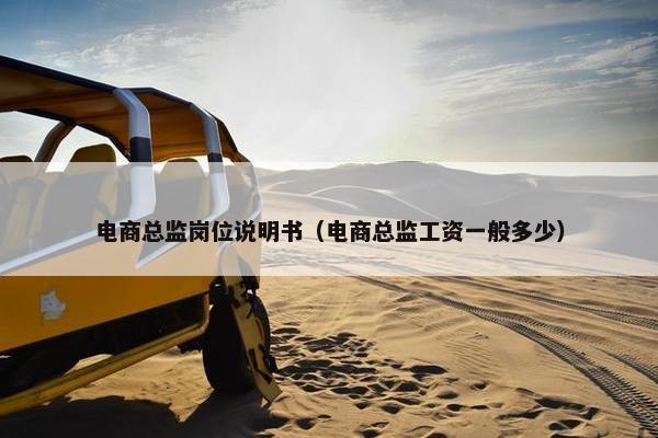 电商总监岗位说明书（电商总监工资一般多少）