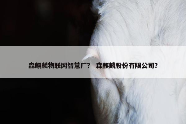 森麒麟物联网智慧厂？ 森麒麟股份有限公司？
