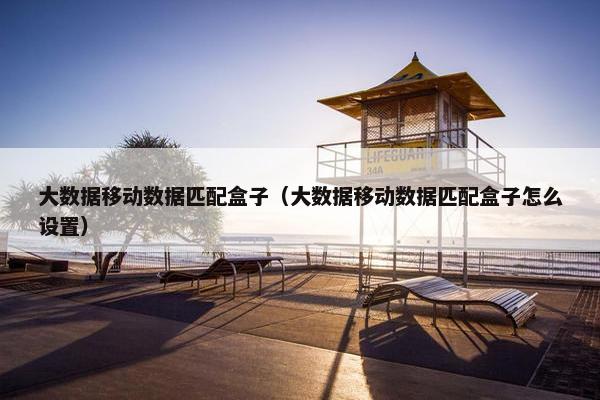 大数据移动数据匹配盒子（大数据移动数据匹配盒子怎么设置）