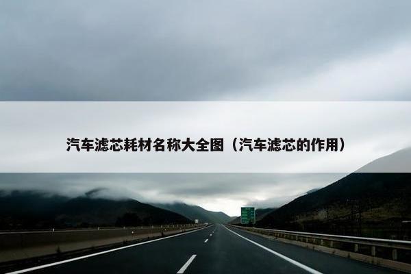 汽车滤芯耗材名称大全图（汽车滤芯的作用）