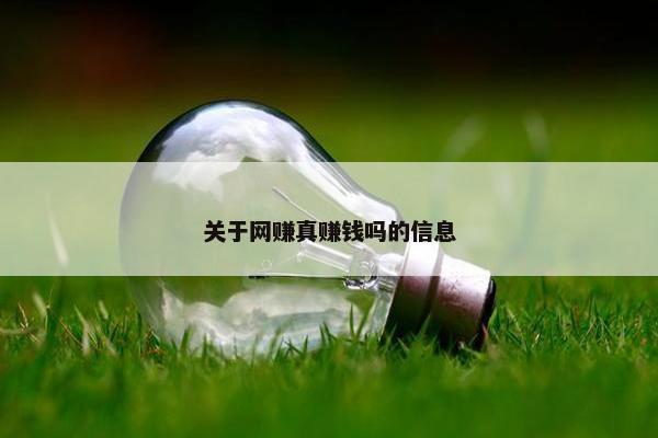 关于网赚真赚钱吗的信息