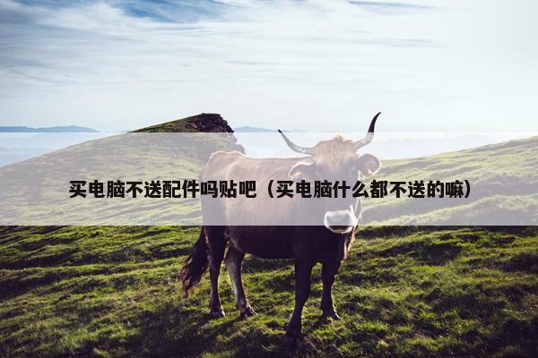 买电脑不送配件吗贴吧（买电脑什么都不送的嘛）