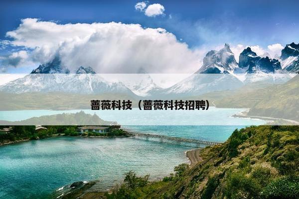 蔷薇科技（蔷薇科技招聘）