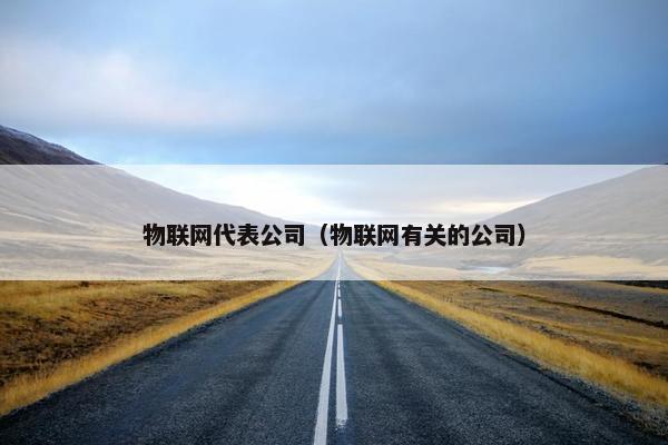 物联网代表公司（物联网有关的公司）