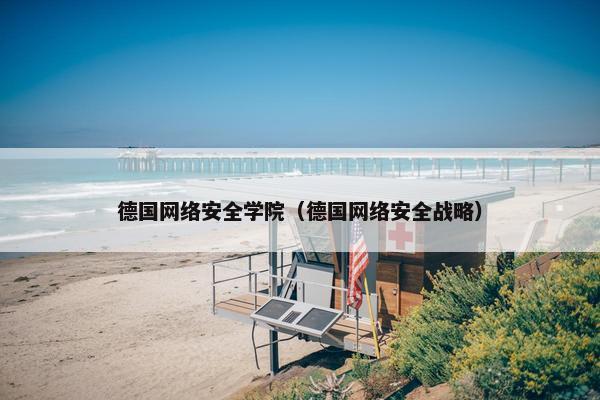 德国网络安全学院（德国网络安全战略）