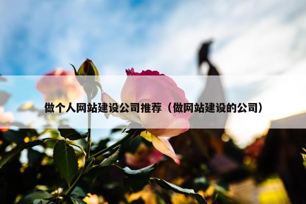 做个人网站建设公司推荐（做网站建设的公司）