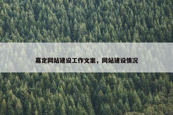 嘉定网站建设工作文案，网站建设情况