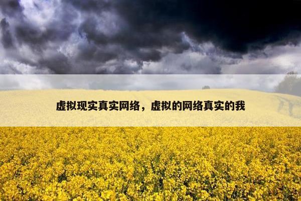 虚拟现实真实网络，虚拟的网络真实的我
