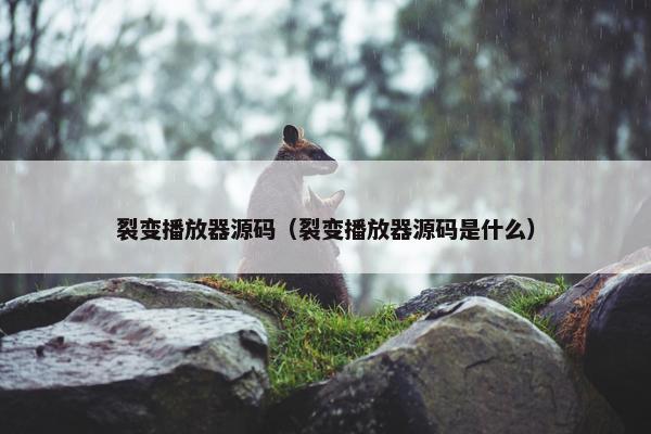 裂变播放器源码（裂变播放器源码是什么）
