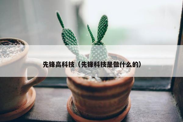 先锋高科技（先锋科技是做什么的）