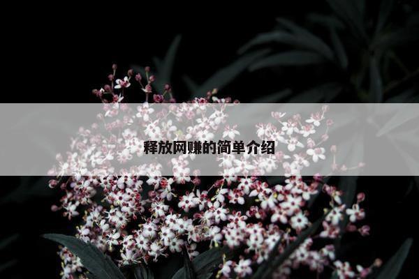 释放网赚的简单介绍