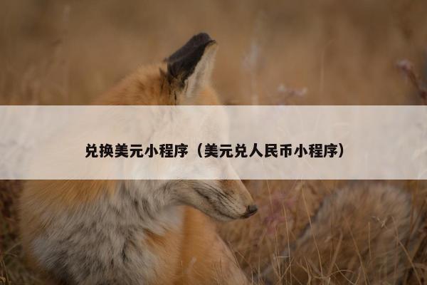 兑换美元小程序（美元兑人民币小程序）