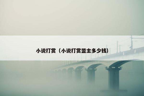 小说打赏（小说打赏盟主多少钱）