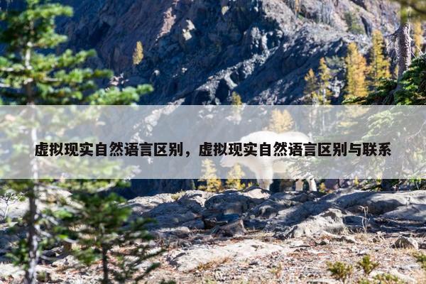 虚拟现实自然语言区别，虚拟现实自然语言区别与联系