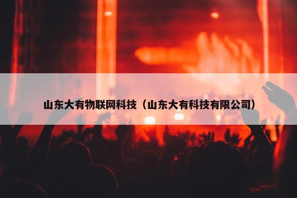 山东大有物联网科技（山东大有科技有限公司）