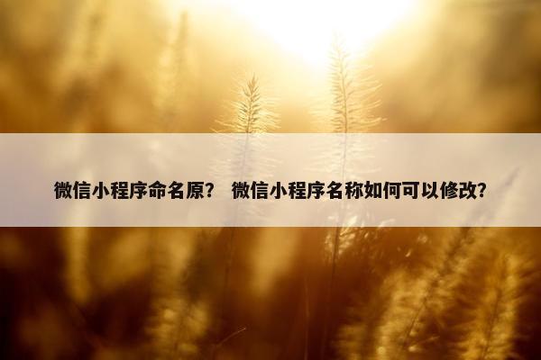 微信小程序命名原？ 微信小程序名称如何可以修改？