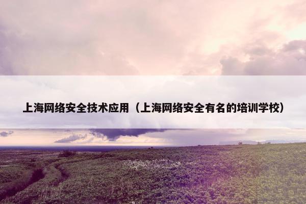 上海网络安全技术应用（上海网络安全有名的培训学校）