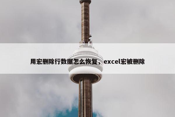 用宏删除行数据怎么恢复，excel宏被删除
