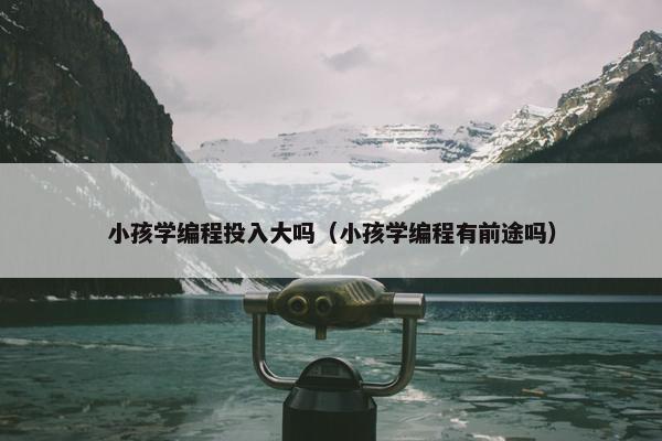 小孩学编程投入大吗（小孩学编程有前途吗）