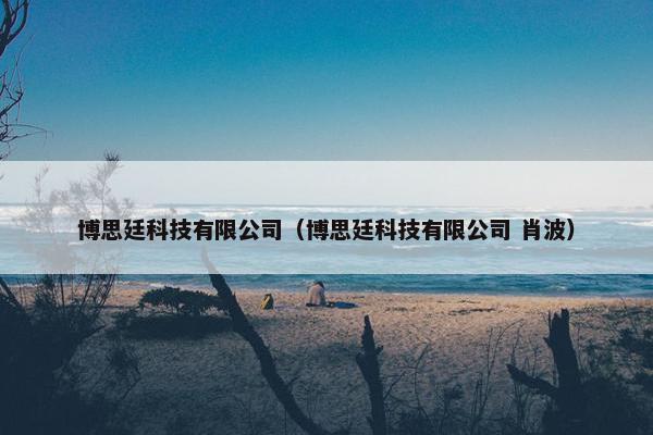 博思廷科技有限公司（博思廷科技有限公司 肖波）
