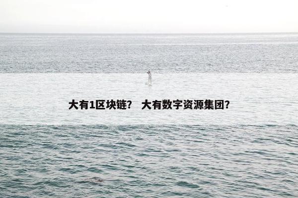 大有1区块链？ 大有数字资源集团？