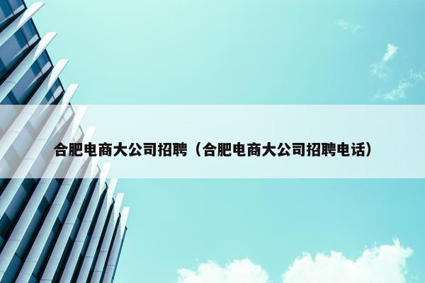 合肥电商大公司招聘（合肥电商大公司招聘电话）