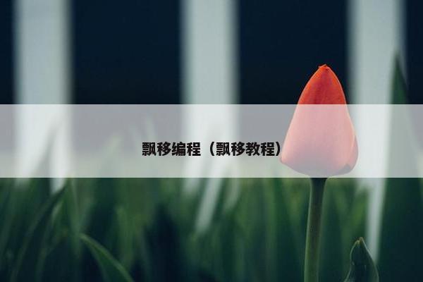 飘移编程（飘移教程）