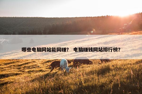哪些电脑网站能网赚？ 电脑赚钱网站排行榜？