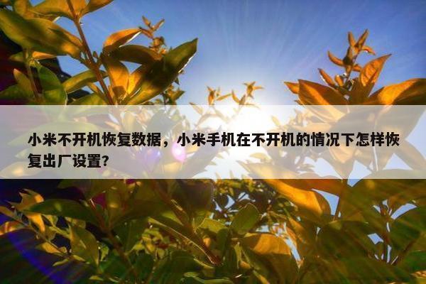 小米不开机恢复数据，小米手机在不开机的情况下怎样恢复出厂设置?