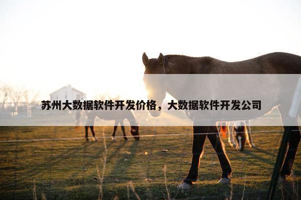 苏州大数据软件开发价格，大数据软件开发公司