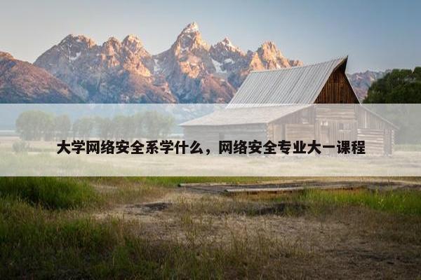 大学网络安全系学什么，网络安全专业大一课程