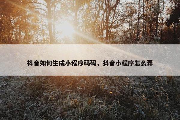 抖音如何生成小程序码码，抖音小程序怎么弄