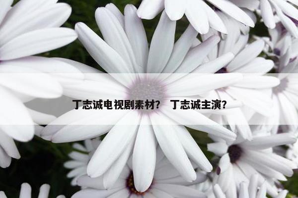 丁志诚电视剧素材？ 丁志诚主演？