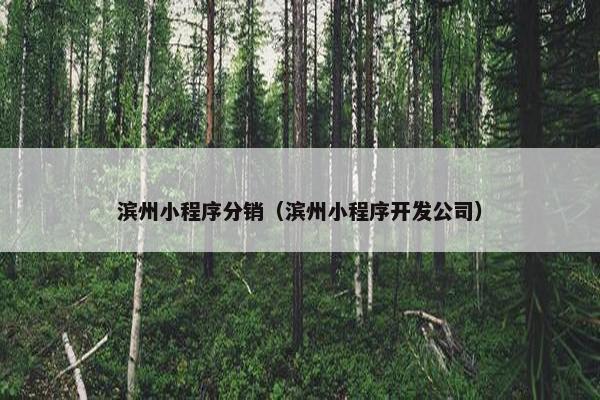 滨州小程序分销（滨州小程序开发公司）