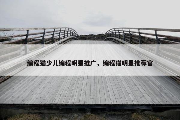 编程猫少儿编程明星推广，编程猫明星推荐官