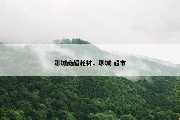 聊城商超耗材，聊城 超市