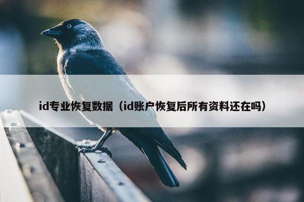 id专业恢复数据（id账户恢复后所有资料还在吗）