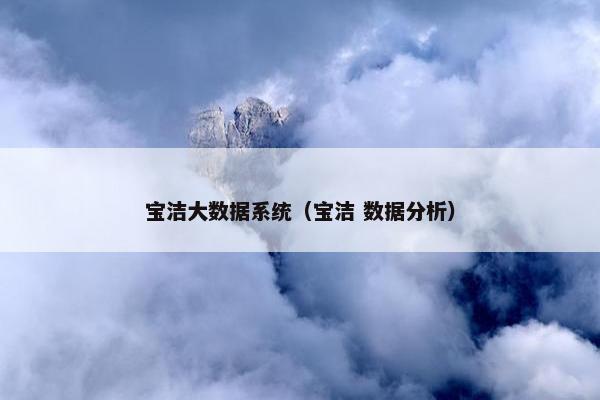 宝洁大数据系统（宝洁 数据分析）