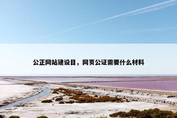 公正网站建设目，网页公证需要什么材料