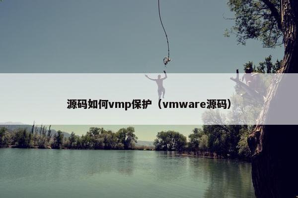 源码如何vmp保护（vmware源码）
