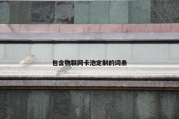 包含物联网卡池定制的词条